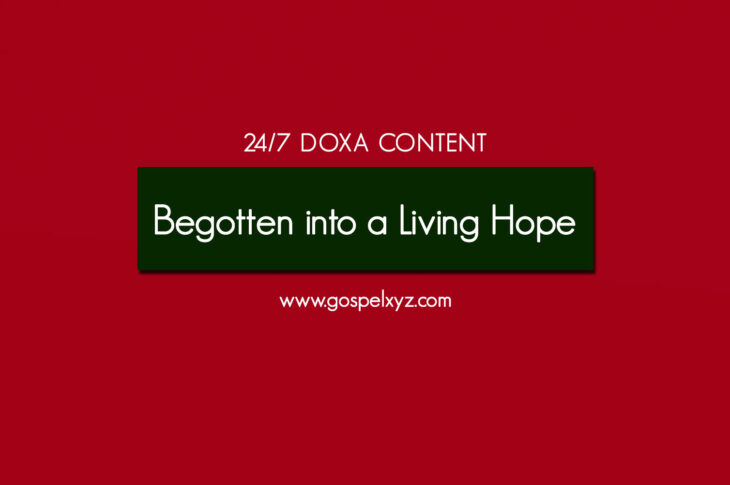 24/7 DOXA Content