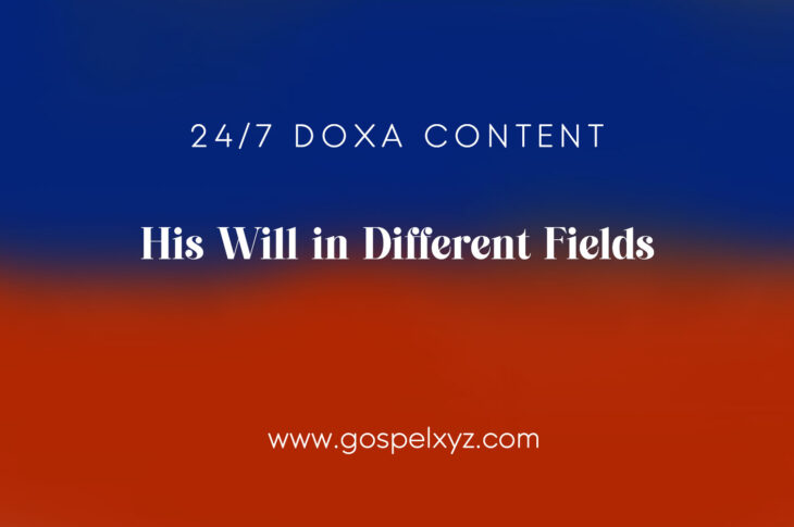 24/7 DOXA Content, 6th January-HIS WILL IN DIFFERENT FIELDS